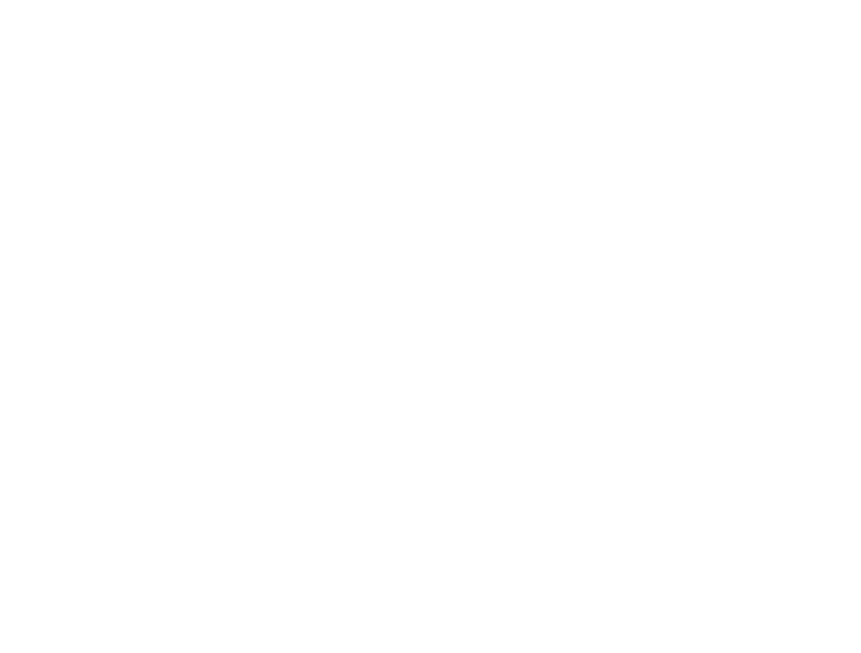 Cyber Nations Foundation logo